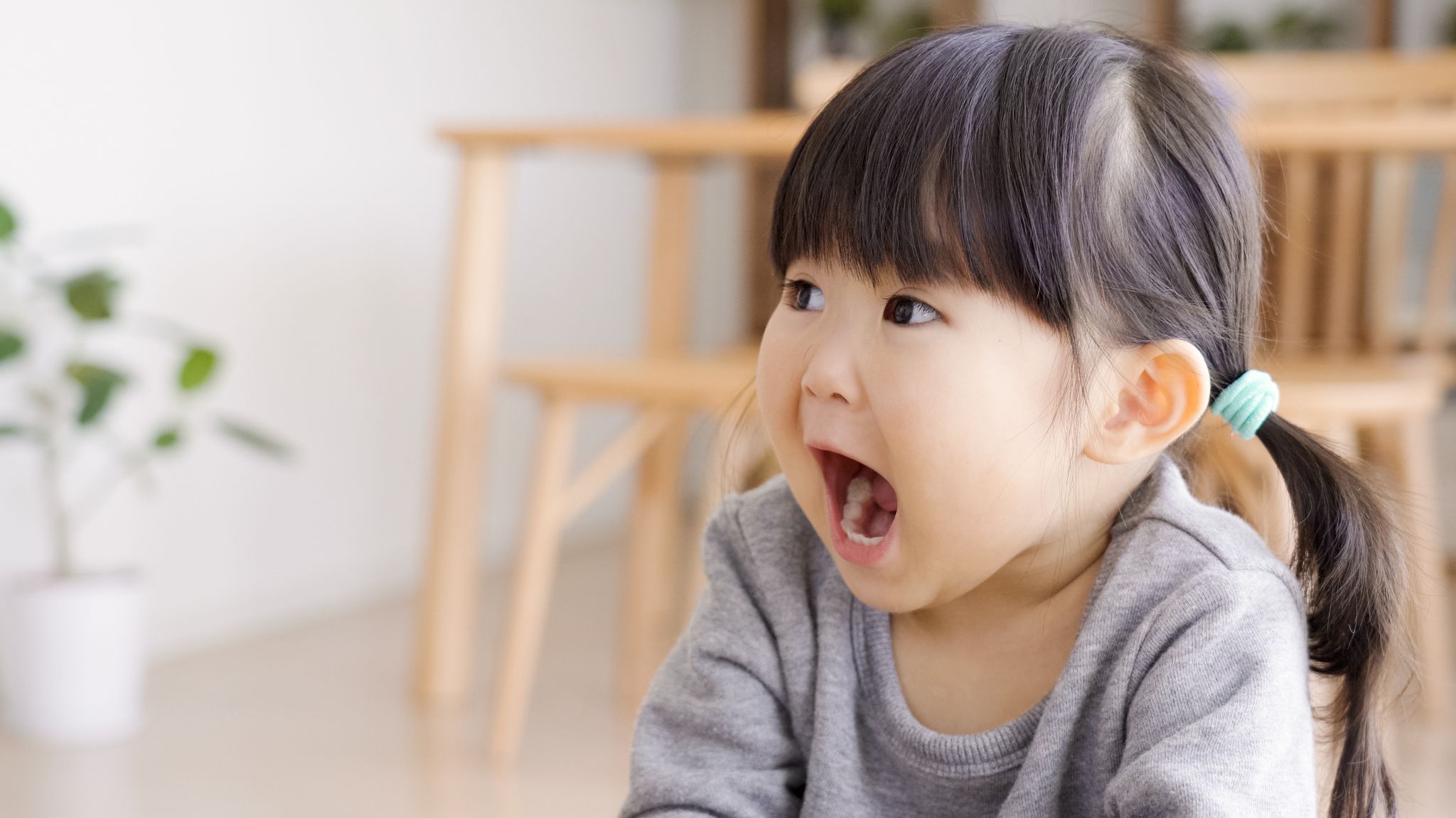 「まずは相談だけ」が一番の正解になることも多い